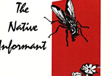 The struggles are poignant, characters believable in Ramzi Salti’s “Native Informant”