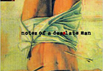 Notes on a Desolate Novel