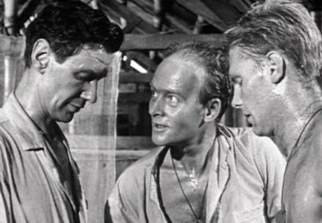 Homosexual Themes in Cinema