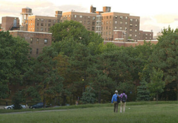Just another day for two gay Muslim men coming of age in Brooklyn...